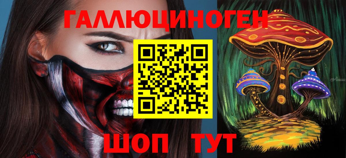 Псилоцибиновые грибы MAGIC MUSHROOMS  Вход с VPN  Канаш 